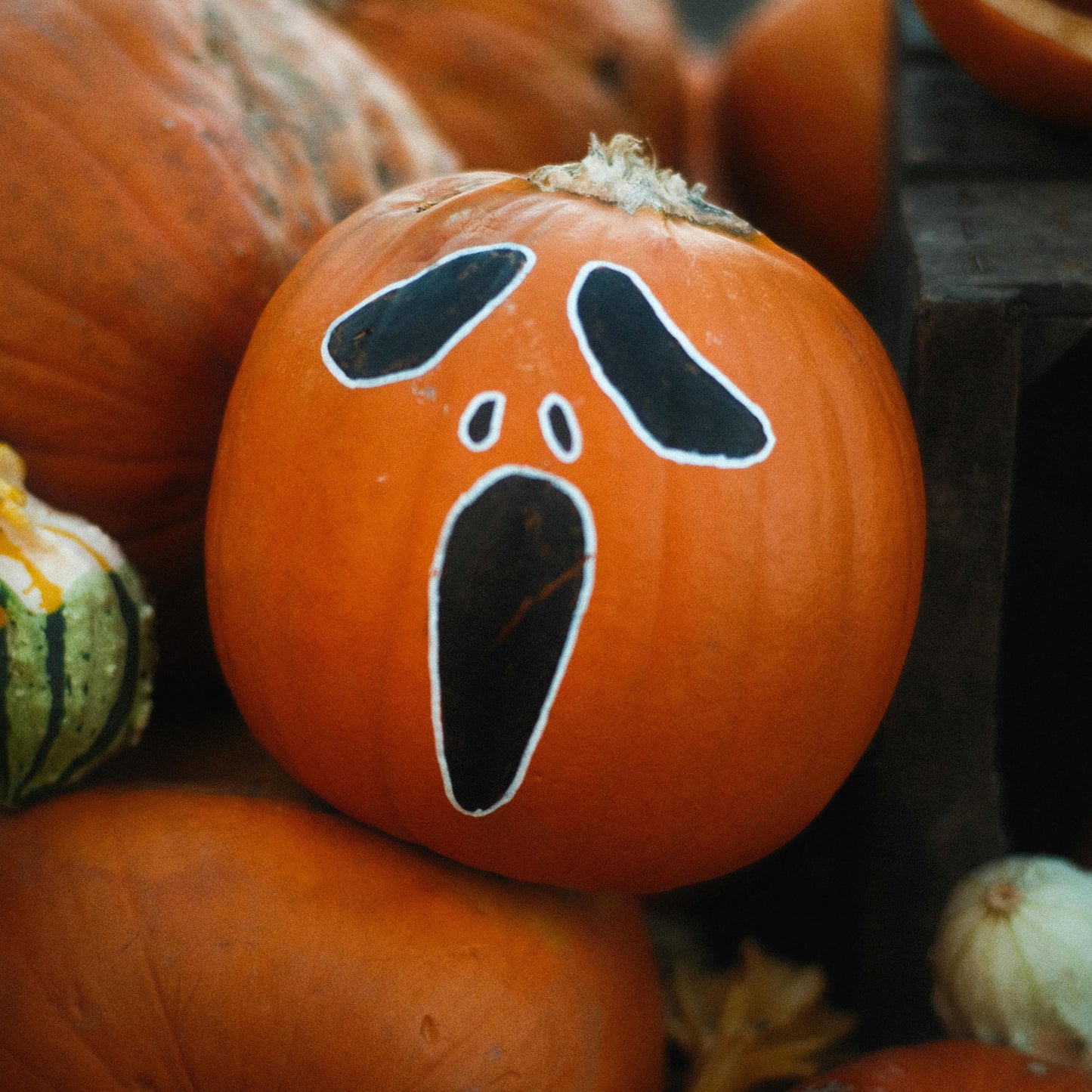 Pumpkin Painting Workshop