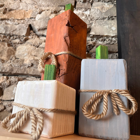Rustic Pumpkin Trio Workshop