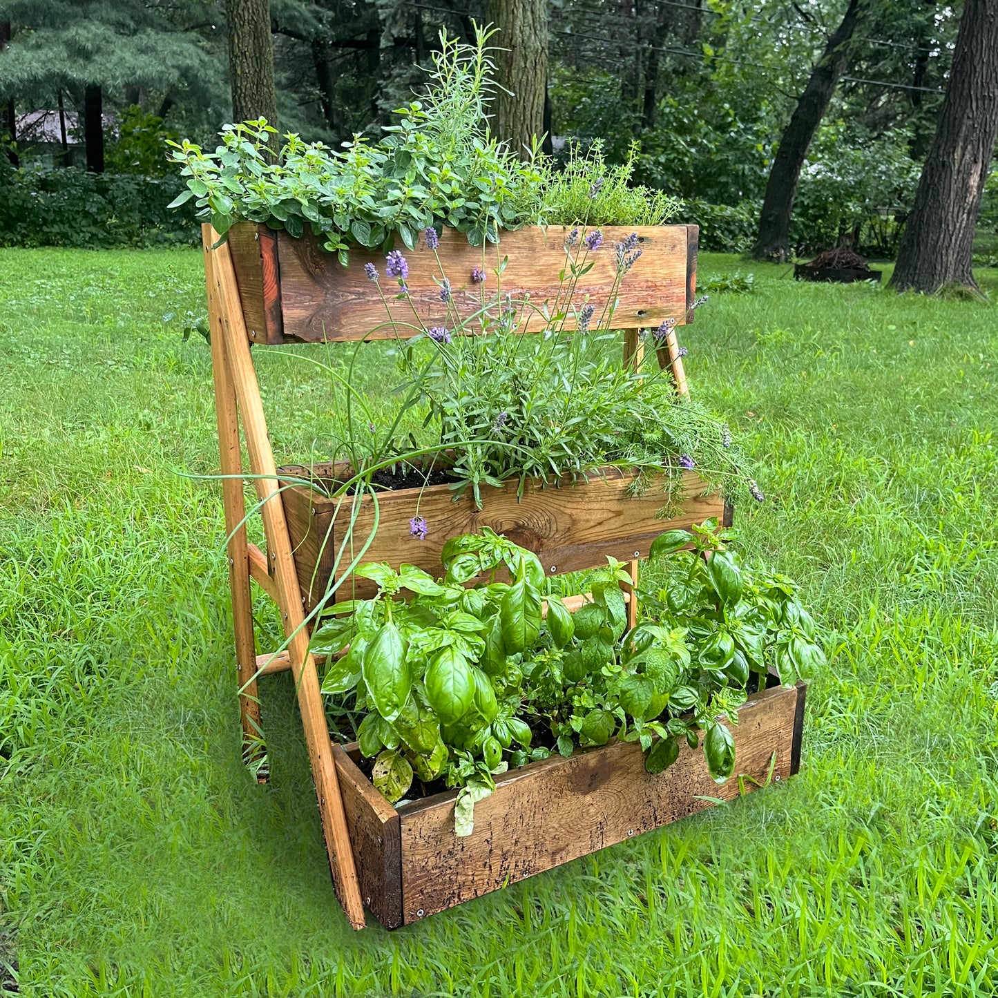 Multi-Tier Raised Cedar Planter Workshop