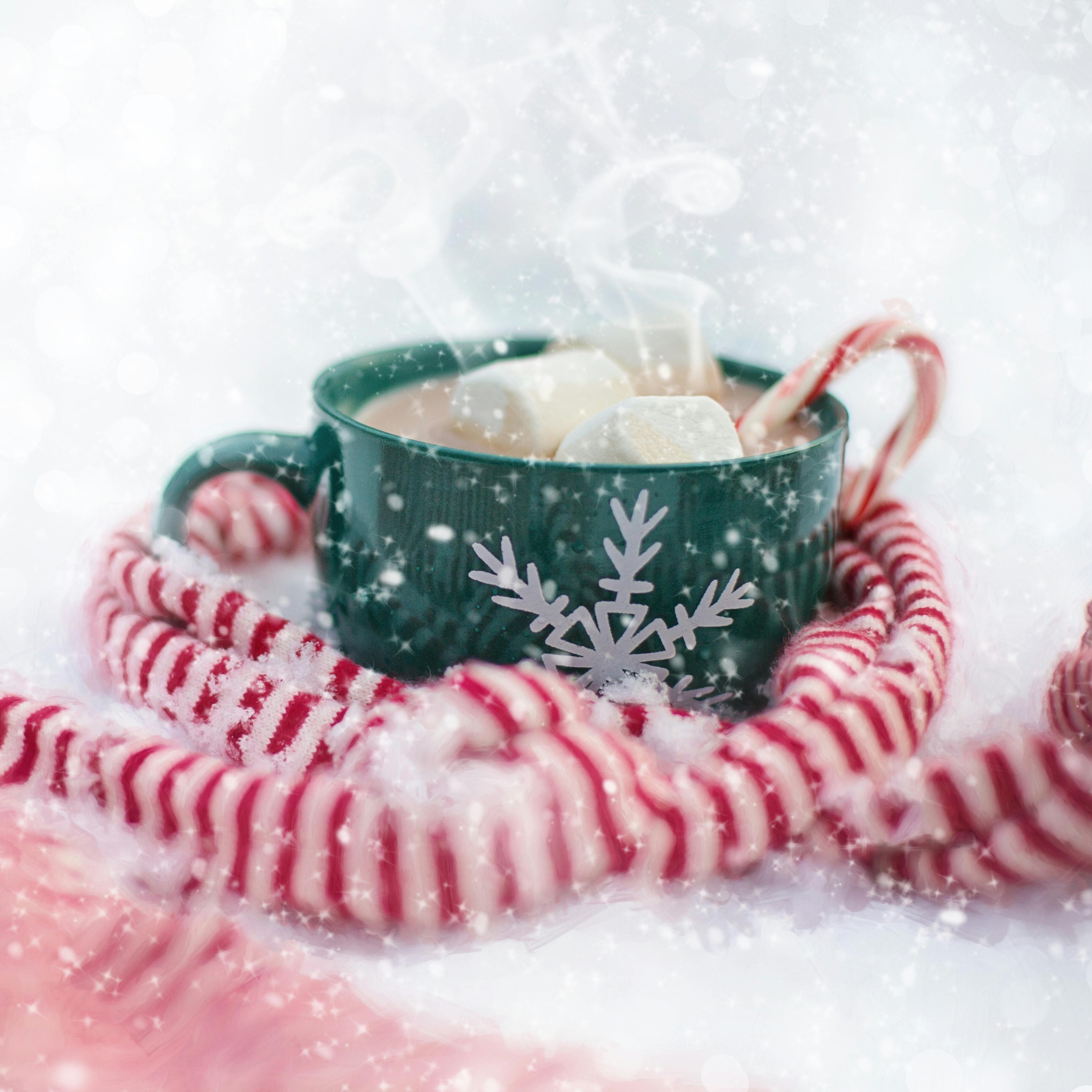 Mug of hot chocolate with a candy cane and marshmallows in a winter background